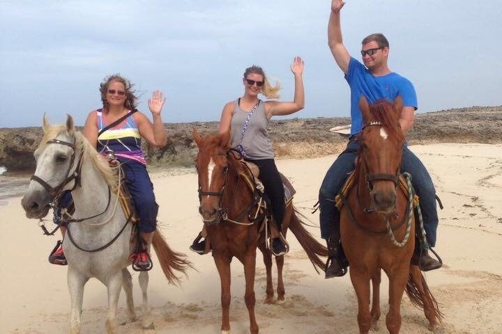 Sunset Horseback Ride in Aruba, photo 10 of 10