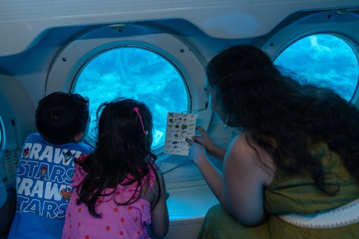 Aruba Atlantis Submarine Tour, photo 8 of 10