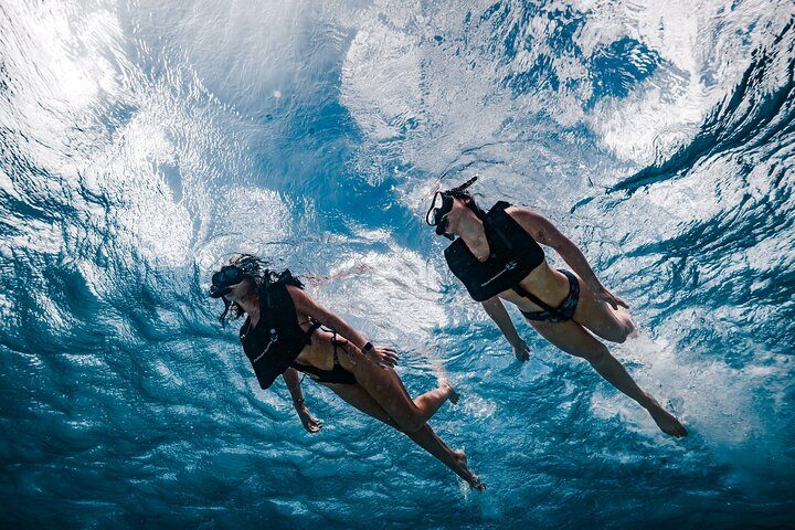 Morning Snorkel Sail with Premium Champagne Brunch, photo 3 of 10