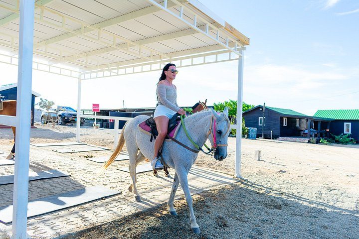 Authentic Aruba Morning Horseback Riding Tour, photo 4 of 10