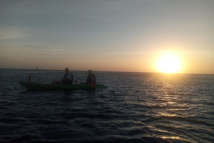 Aruba Night Glass Kayak Tour, photo 8 of 8
