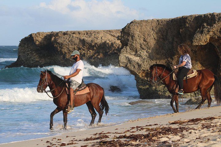 Horseback Riding and Natural Pool Adventure in Aruba, photo 5 of 10