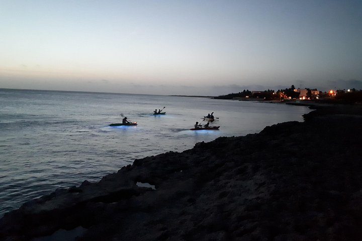 Aruba Night Glass Kayak Tour, photo 2 of 8