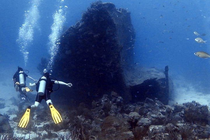 Aruba 2-Tank Dive Excursion for Certified Divers, photo 5 of 10