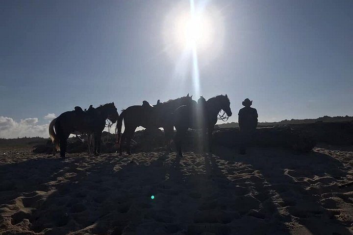 Sunset Horseback Ride in Aruba, photo 5 of 10