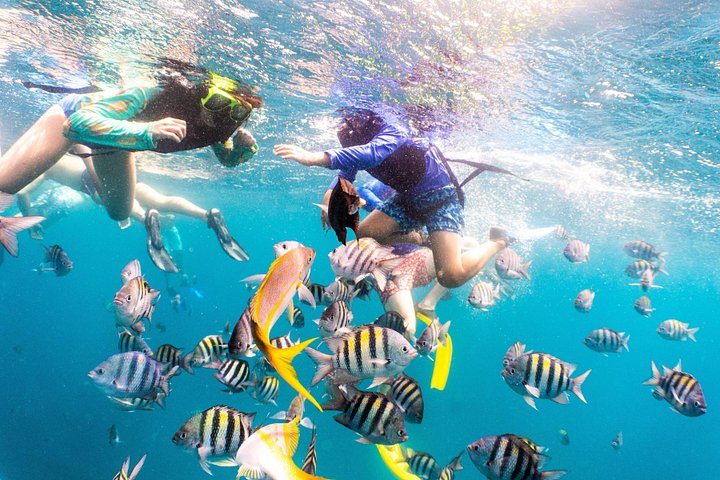 Half-Day Snorkel Sail Tour with Caribbean Lunch, photo 8 of 10