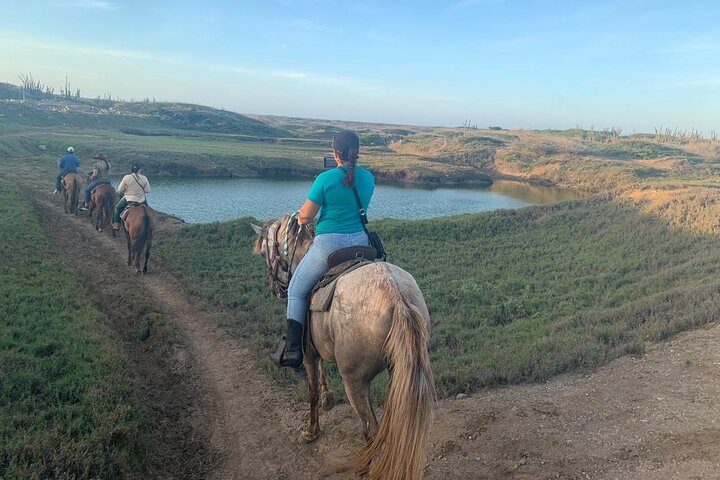 Horseback Riding Wariruri Beach Tour in Aruba, photo 7 of 10
