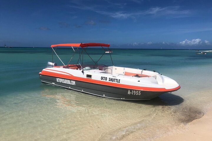 Private Aruba Snorkeling Excursion with Rum Punch, photo 10 of 10