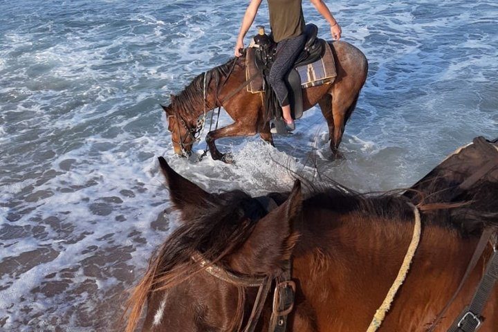 Aruba Countryside: Horseback Adventure to Urirama Cove, photo 7 of 10