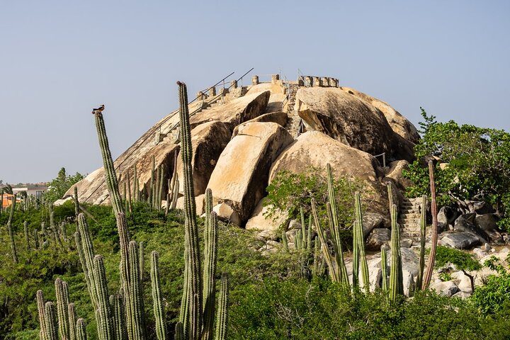 Colorful Beach Bus Sightseeing Tour of Aruba, photo 8 of 10