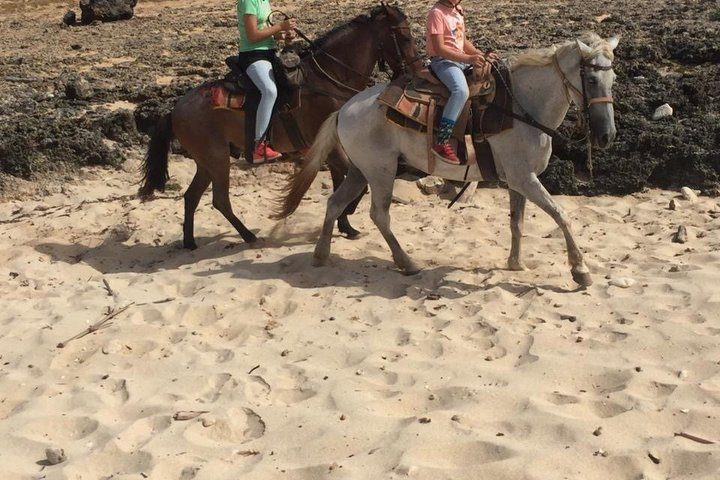 Aruba Countryside: Horseback Adventure to Urirama Cove, photo 6 of 10