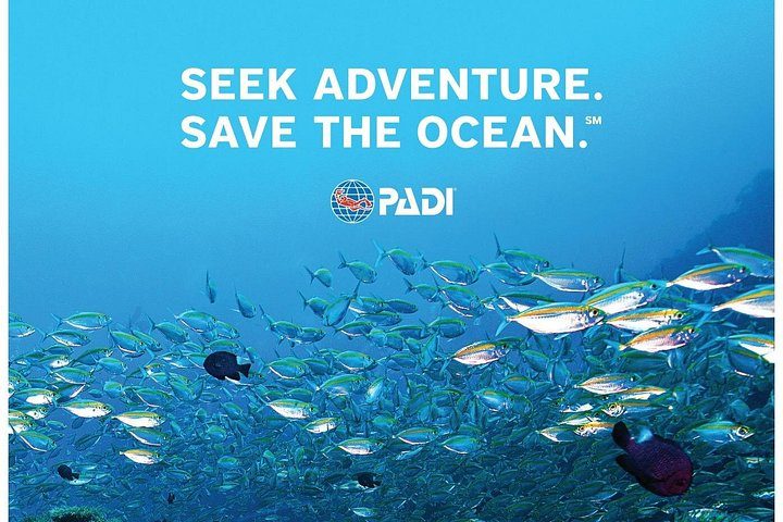 Aruba PADI Scuba Diving Program Non Certified Divers, photo 8 of 10