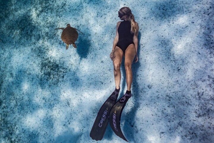 Aruba Turtle Snorkeling Private Tour with Underwater Footage, photo 9 of 10
