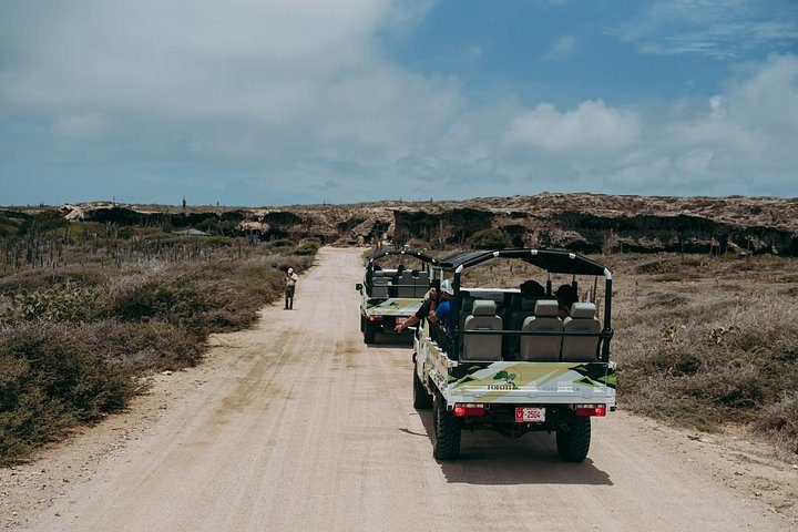 Aruba Signature Jeep Tour: Natural Pool and Baby Beach, photo 9 of 10