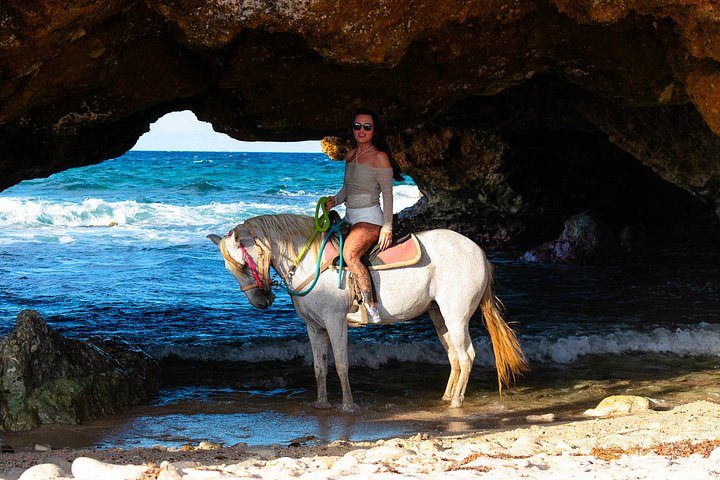 Authentic Aruba Morning Horseback Riding Tour, photo 8 of 10