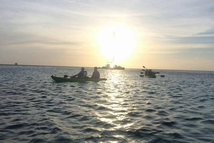 Aruba Night Glass Kayak Tour, photo 7 of 8