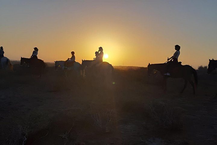 Sunset Horseback Ride in Aruba, photo 7 of 10
