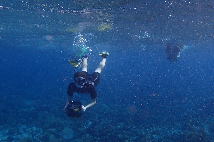 Small-Group Sea Scooters Snorkel at Mangel Halto Beach in Aruba, photo 4 of 10