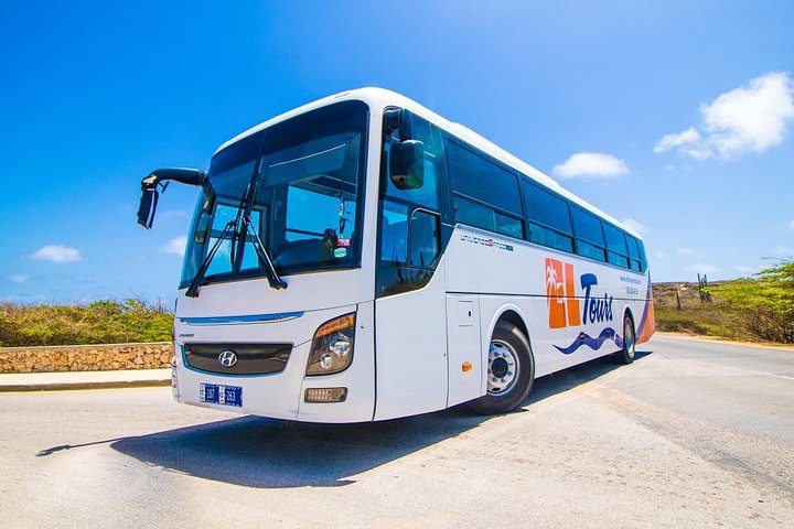 Aruba Island Sightseeing Tour, photo 8 of 8