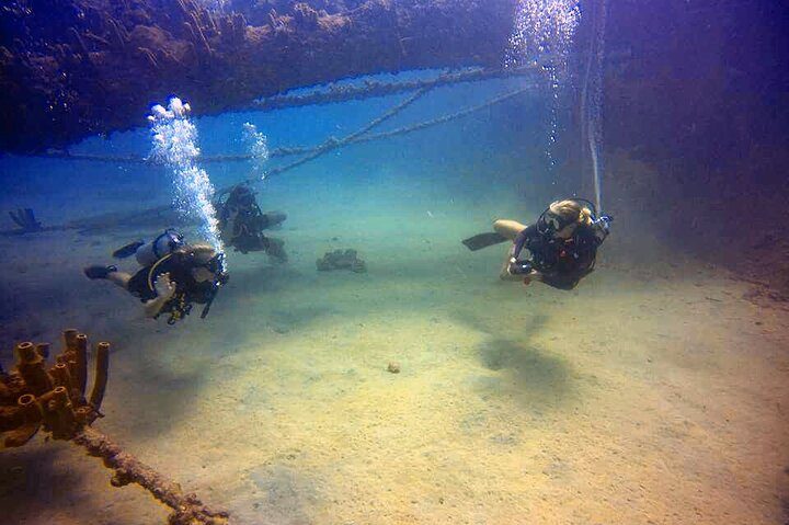 Aruba Private Scuba Diving for Non-Certified Divers, max 40 ft, photo 5 of 10