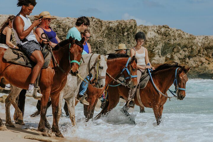 Authentic Aruba Morning Horseback Riding Tour, photo 10 of 10