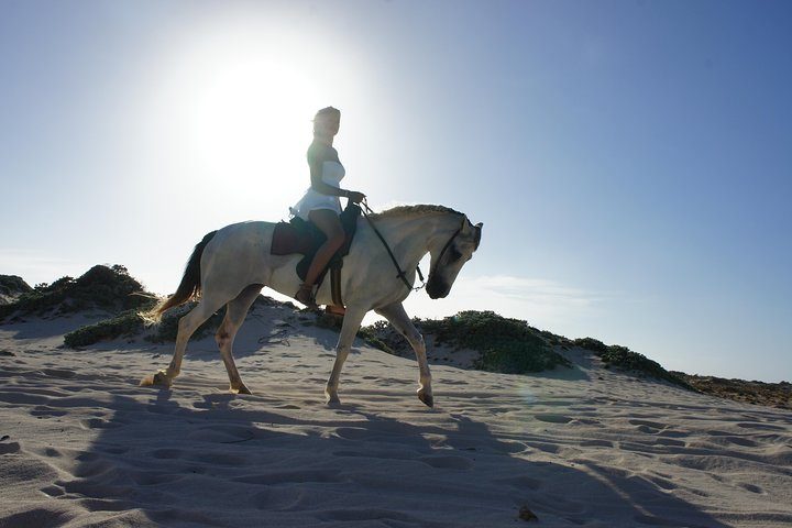 Aruba Horseback Riding Tour For Advanced Riders, photo 5 of 10