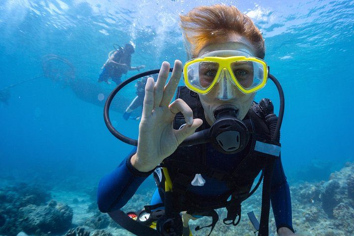 Discover Scuba Diving Aruba, photo 3 of 7