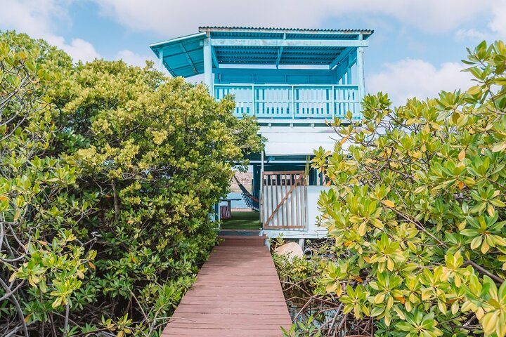 Premium Full‑Day Private Adventure:Snorkel & Explore Hidden Spots, photo 9 of 10
