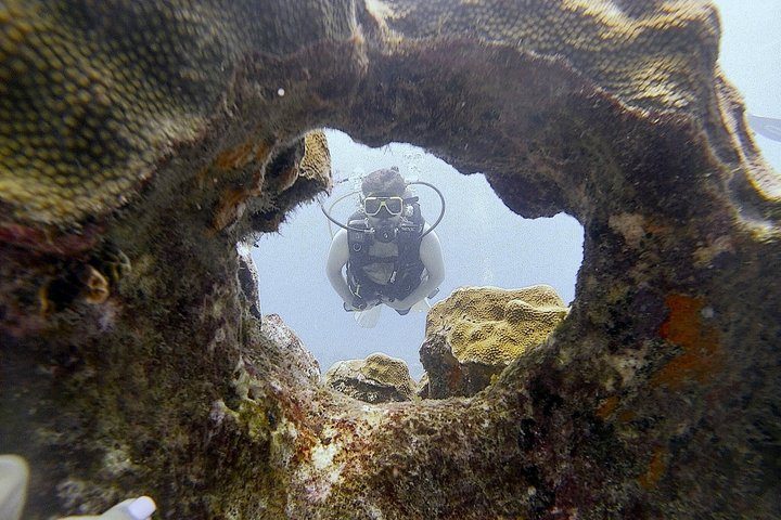 Aruba 2-Tank Dive Excursion for Certified Divers, photo 2 of 10