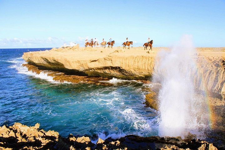 Authentic Aruba Morning Horseback Riding Tour, photo 5 of 10