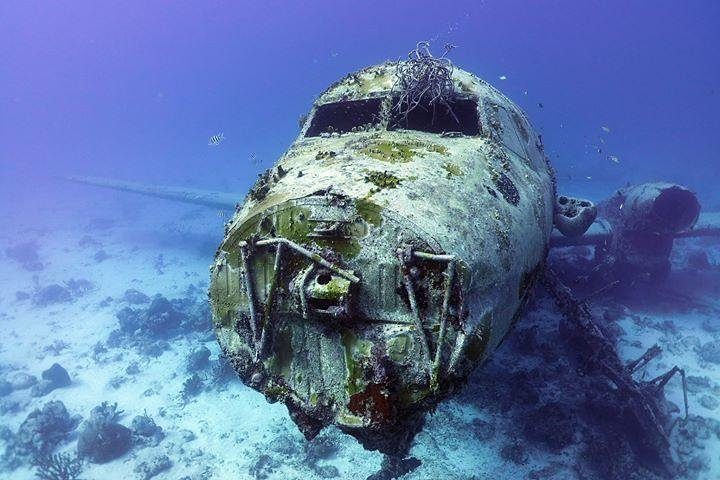 Aruba 2-Tank guided Dive for certified divers / own equipment, photo 3 of 7