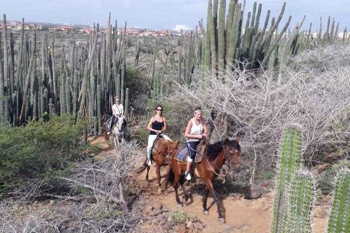 Sunset Horseback Ride in Aruba, photo 9 of 10