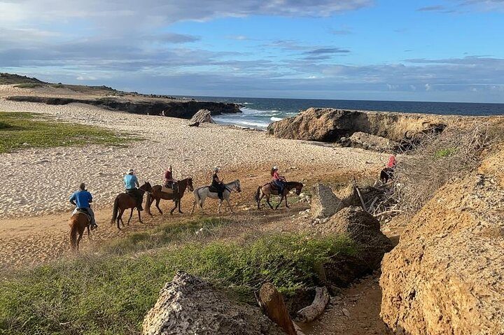 2-Hour Horseback Riding Tour to Little Natural Bridge in Aruba, photo 6 of 10