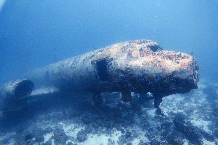 Aruba 2-Tank Dive Excursion for Certified Divers, photo 10 of 10