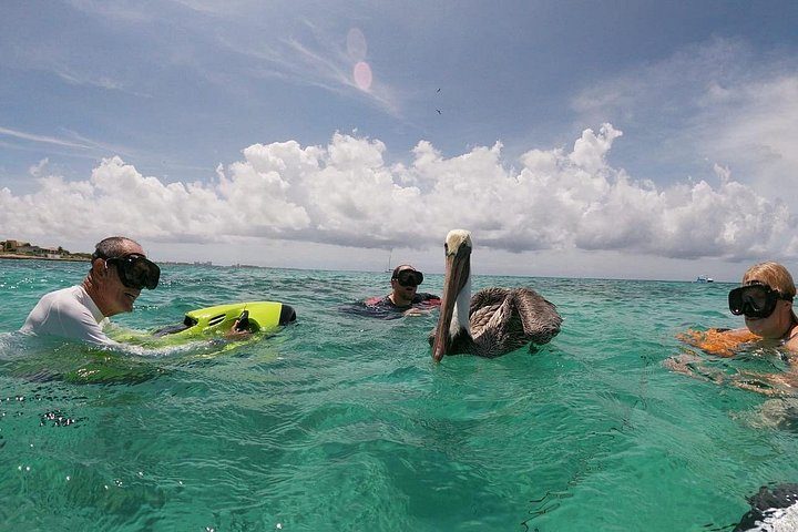 Antilla Shipwreck Seabob Tour, photo 6 of 10