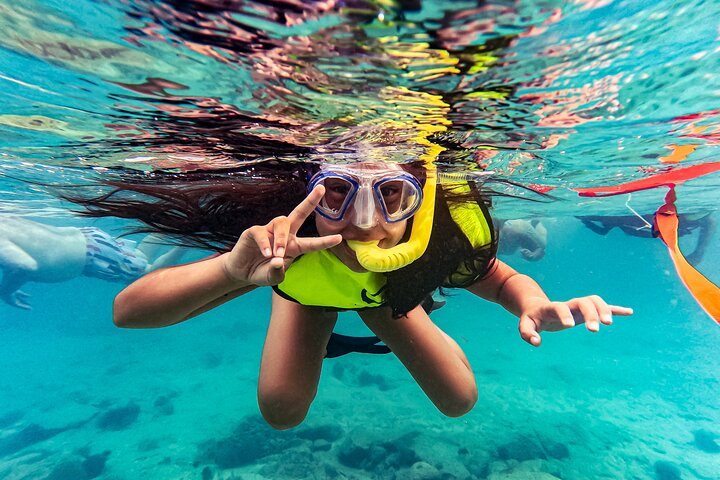 Aruba Turtle Snorkeling Tour | Photos & Videos Included (2 Hours), photo 4 of 10