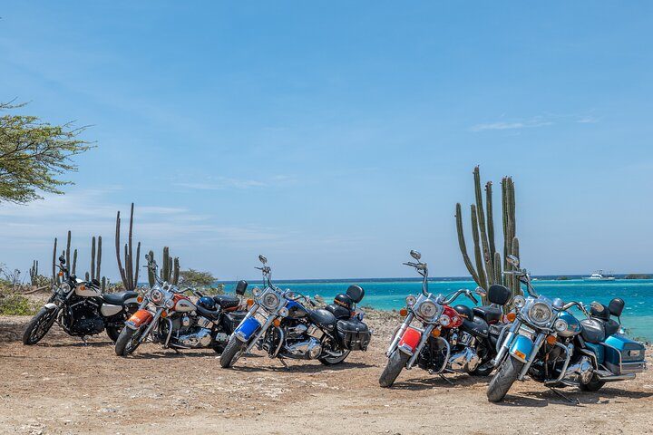 Harley-Davidson RENTALS ONLY 8 hrs, photo 4 of 6