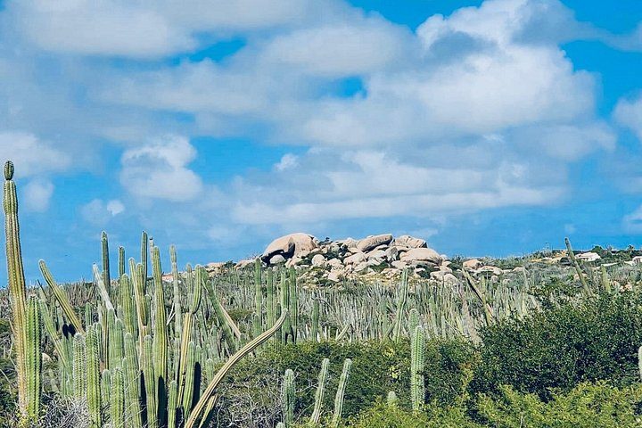 Half-Day Aruba UTV Adventure Tour, photo 4 of 8