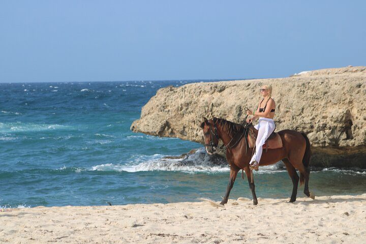 North Coast Classic Afternoon Horseback Riding Tour, photo 8 of 10