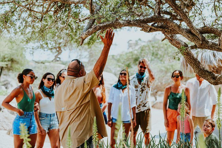 Aruba Natural Wonders Caves and Natural Pool Jeep Tour, photo 9 of 10