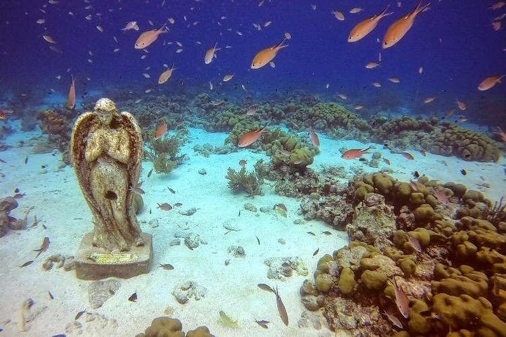 Discover Scuba Diving Aruba, photo 5 of 7