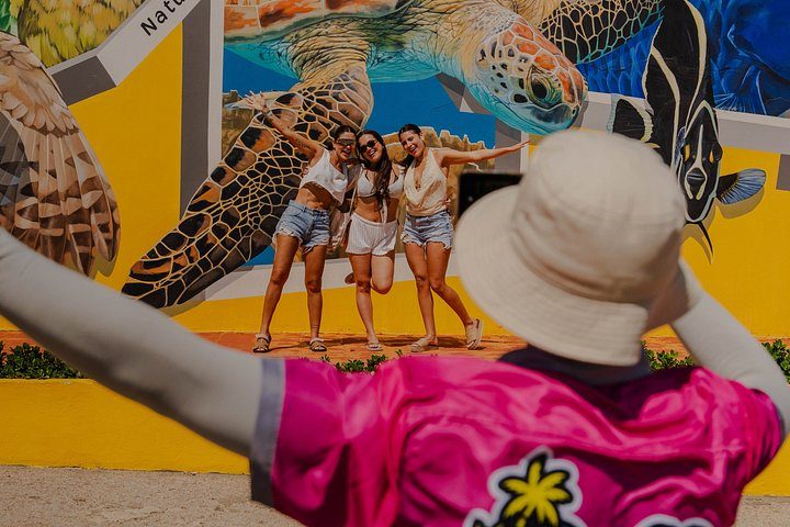 Aruba Half-Day Full Island Safari Adventure with Baby Beach Swim, photo 9 of 10