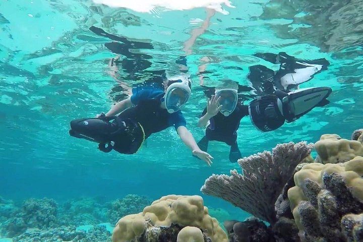 Premium Catamaran Afternoon Sail: Snorkeling and Lunch, photo 3 of 10