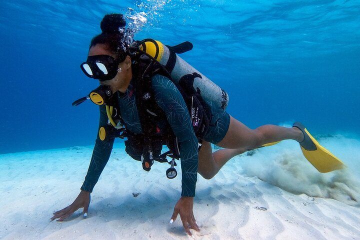 Aruba Private Scuba Diving for Non-Certified Divers, max 40 ft, photo 4 of 10