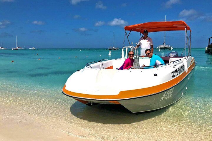 Private Aruba Snorkeling Excursion with Rum Punch, photo 8 of 10
