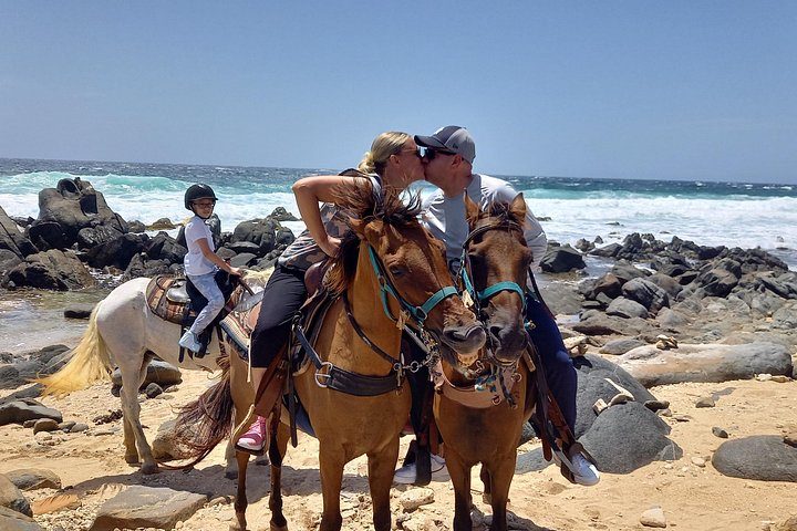 Aruba Ecological & Coastline Horseback Ride with Beach Photo Stop, photo 6 of 10