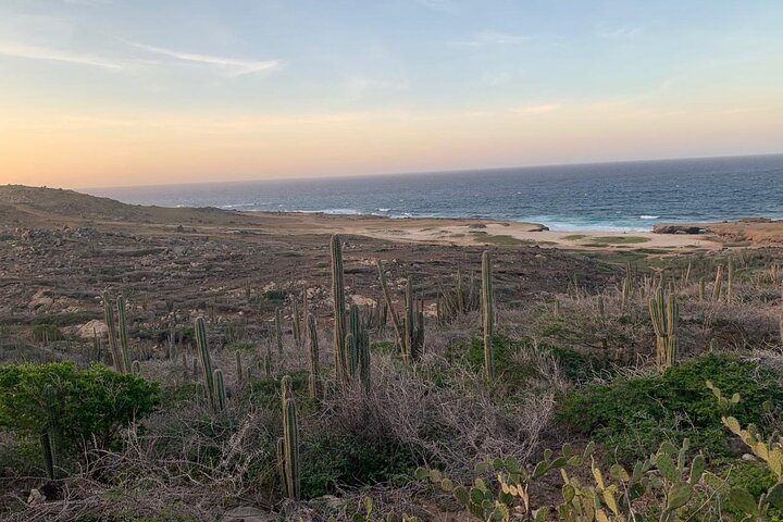 Horseback Riding Wariruri Beach Tour in Aruba, photo 8 of 10