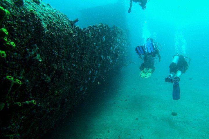 Aruba 2-Tank Dive Excursion for Certified Divers, photo 6 of 10