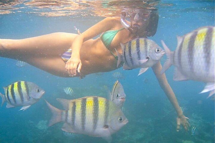 Aruba Snorkel Cruise with Open Bar and Lunch, photo 10 of 10
