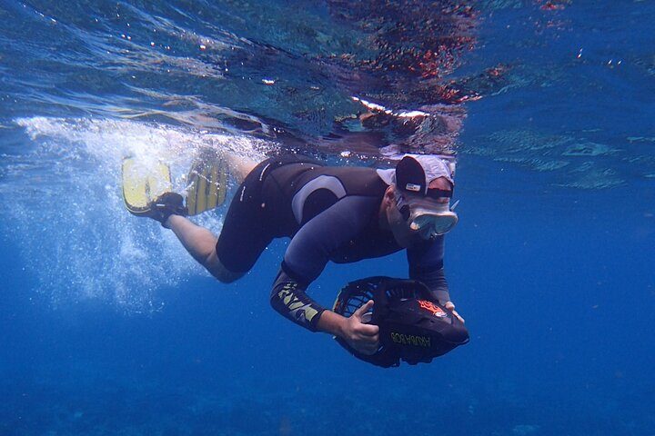 Small-Group Sea Scooters Snorkel at Mangel Halto Beach in Aruba, photo 3 of 10